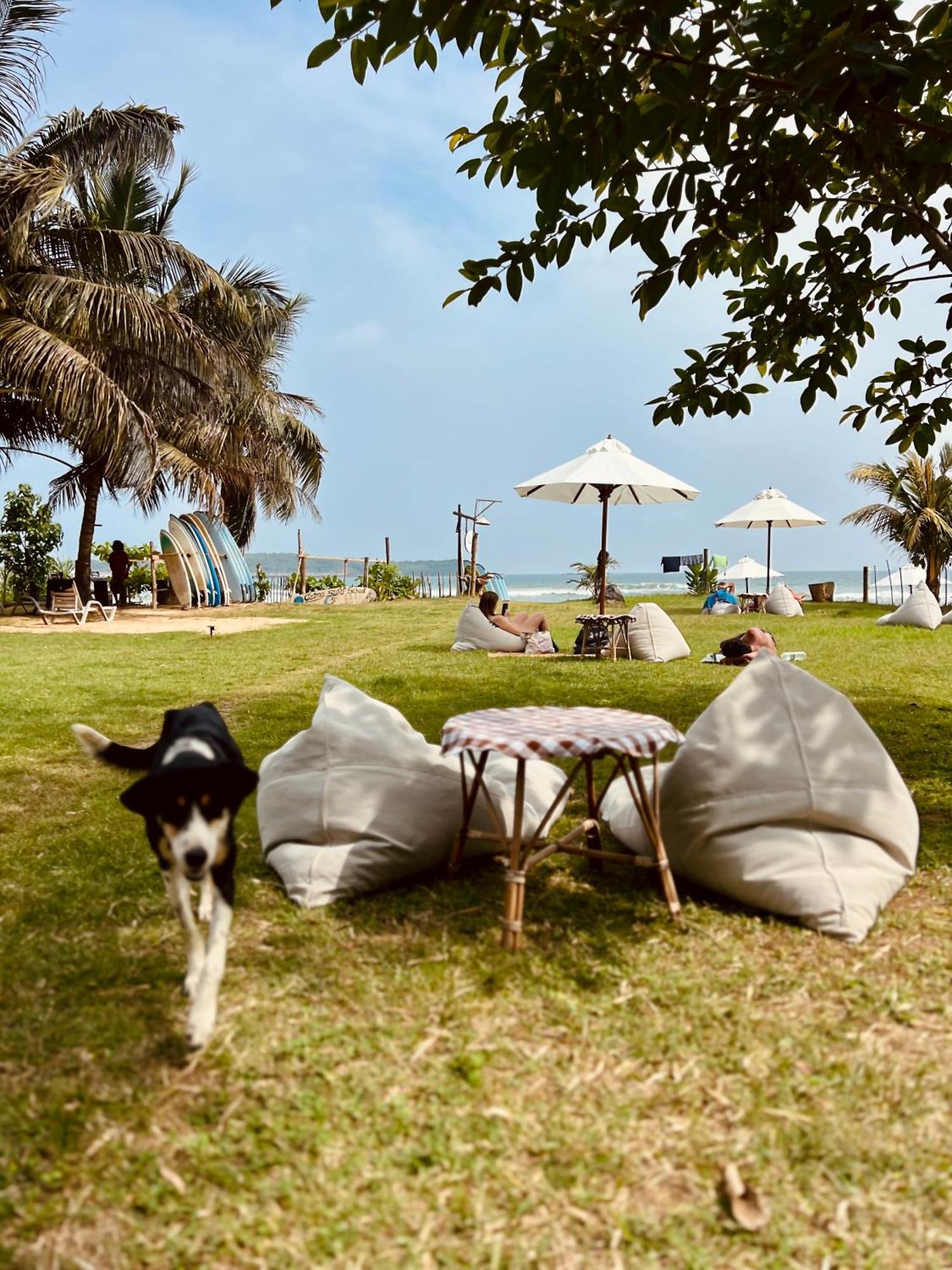 Calma - Surf, Yoga & Coffee On A Private Beach Dikwella Esterno foto