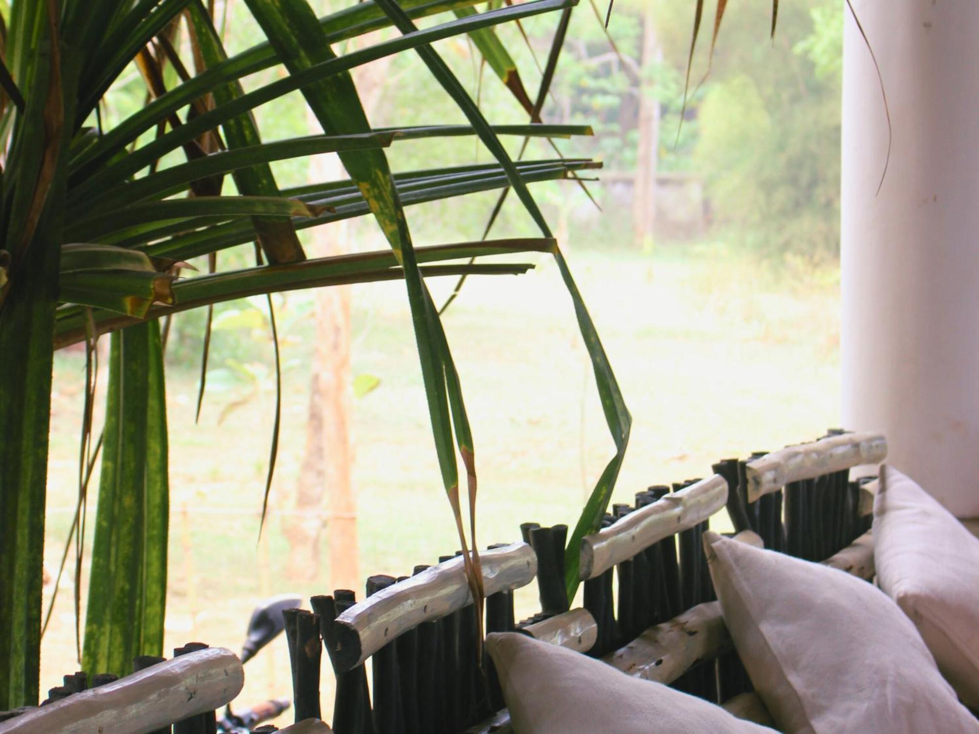 Calma - Surf, Yoga & Coffee On A Private Beach Dikwella Esterno foto